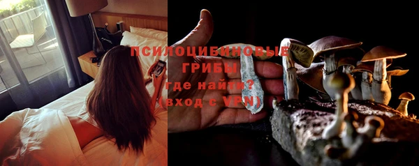 соль ск Надым