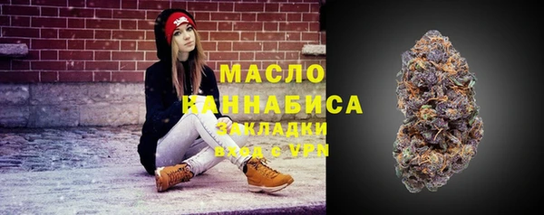 соль ск Надым