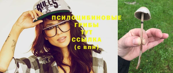 соль ск Надым