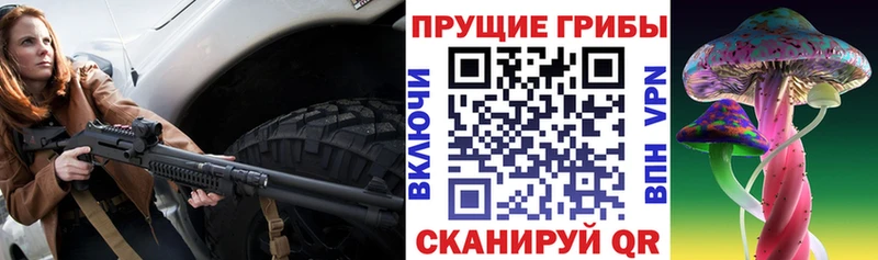 купить наркотик  Шенкурск  гидра tor  Псилоцибиновые грибы мицелий 